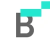 Bitskout favicon