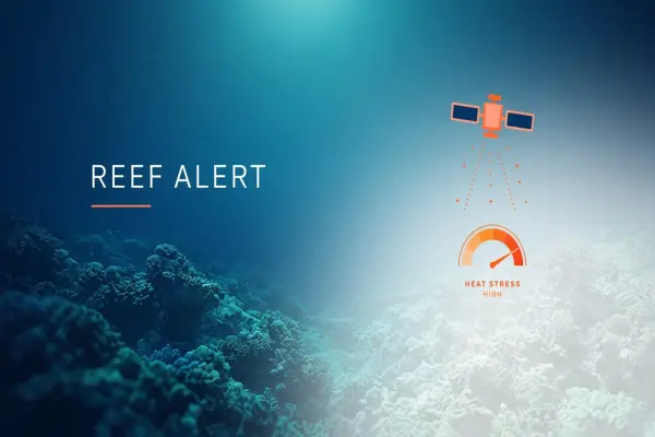 AI Early Warning for Coral Bleaching: Reef Monitoring at Scale