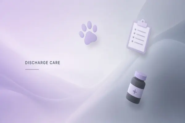 AI Workflow for Veterinary Clinics: Client Discharge Summaries