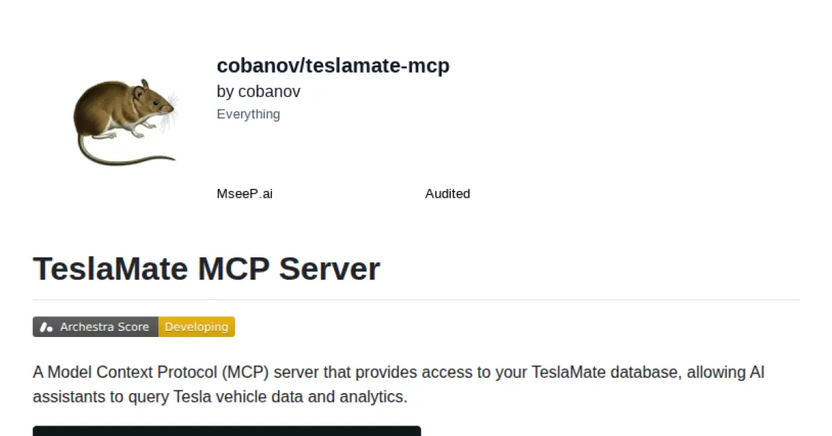 TeslaMate MCP Server