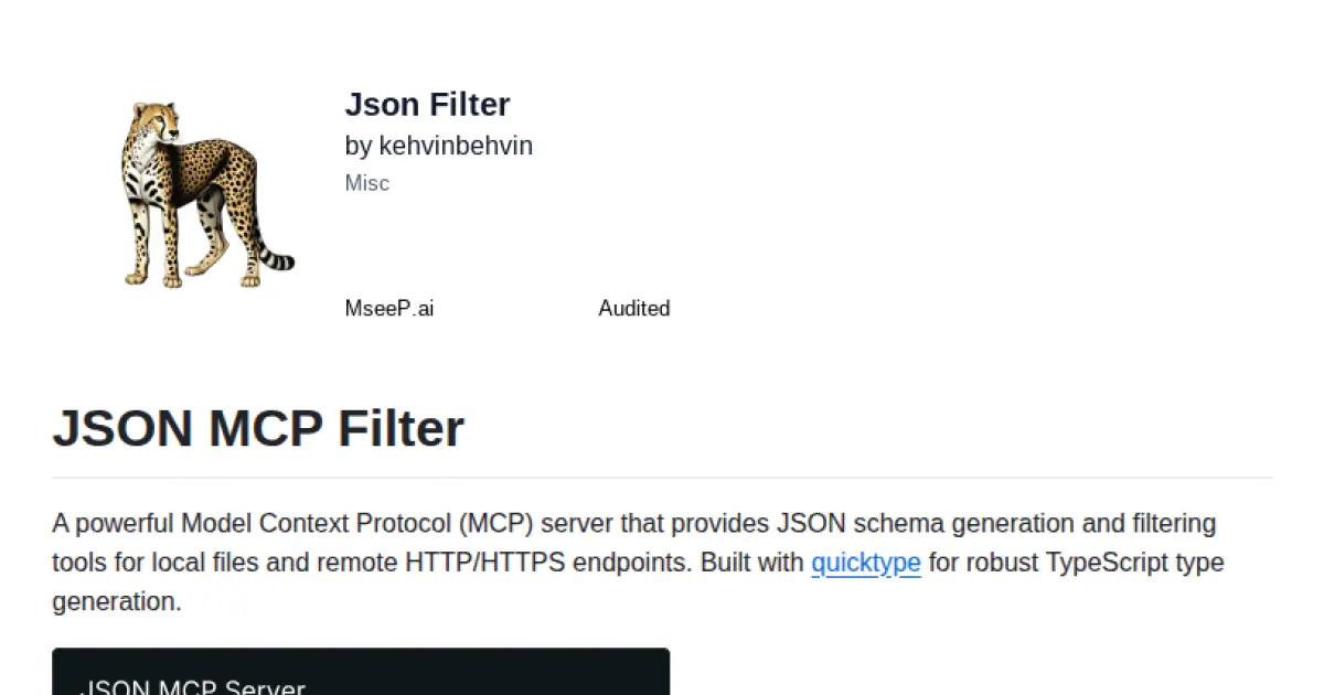 JSON MCP Filter