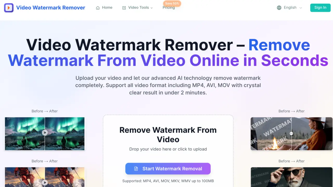 Video Watermark Remover screenshot