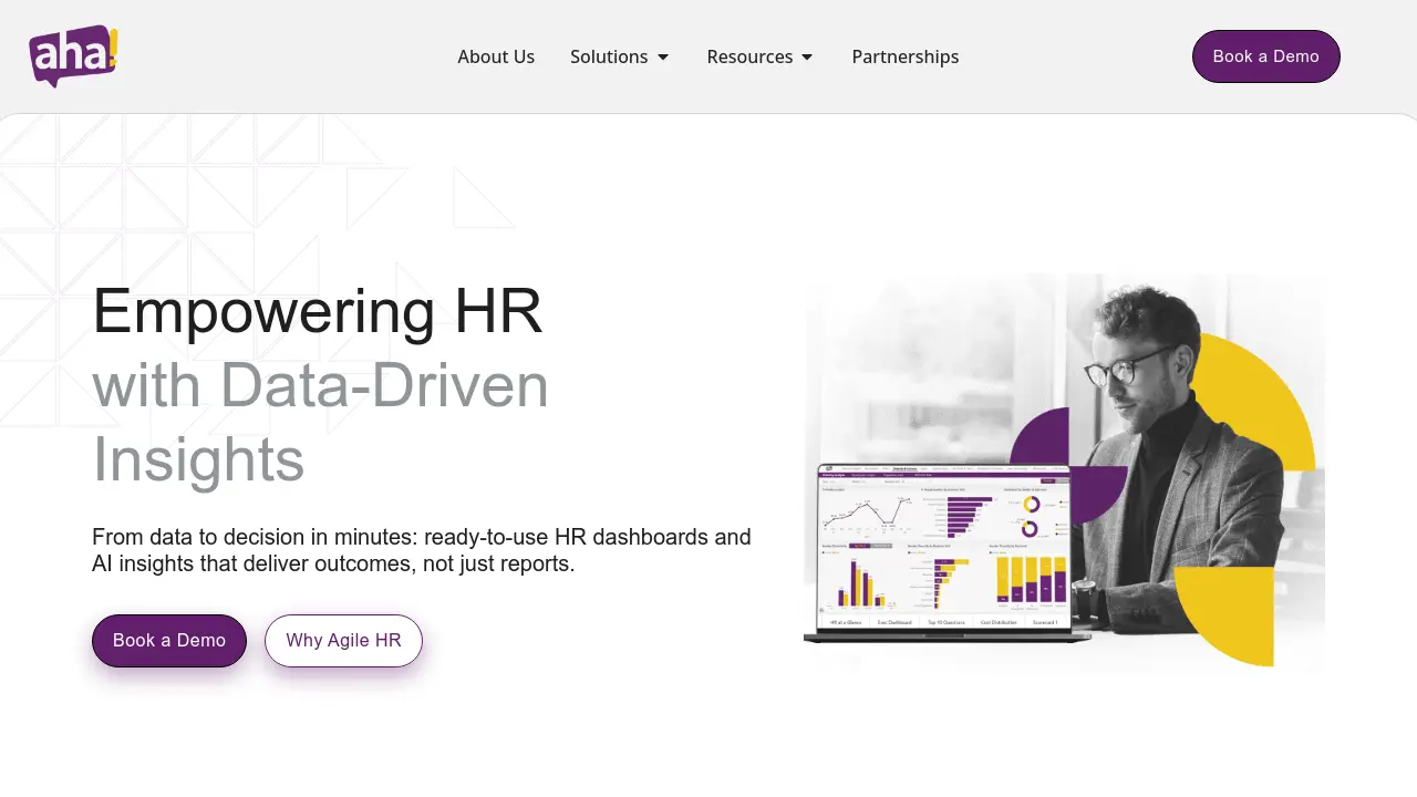 Agile HR Analytics - From data to decision in minutes: ready-to-use HR ...