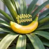 ai-banana.app favicon
