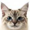 AI Cat Portraits™ favicon