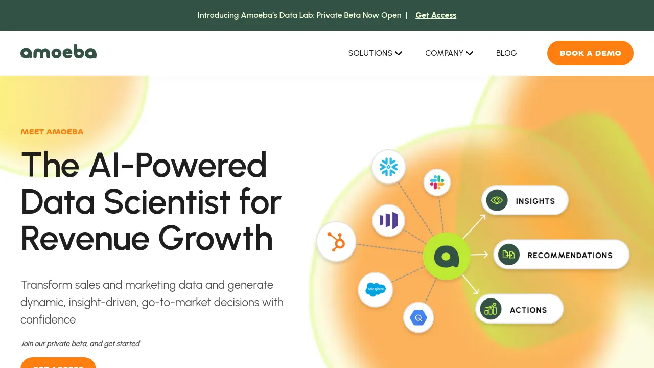 Amoeba - The AI-Powered Data Scientist for Revenue Growth