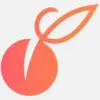 Apricot favicon