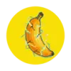 BanaGen favicon
