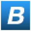 Bandisoft favicon