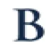 Banibro IT Solutions favicon