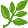 Basil favicon