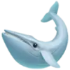 beluga favicon