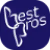 Best Pros In Town favicon