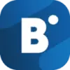 BidVertiser favicon