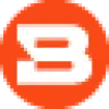 Bitsight favicon
