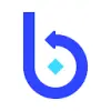 Blixo favicon