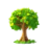 BloomNote favicon