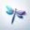Body Insights favicon