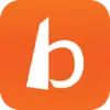 Borda Technology favicon