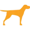 Bruji favicon