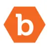 Bugcrowd favicon