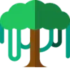 Canopy API favicon