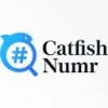 CatfishNumr favicon