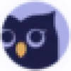 ChatOwl favicon
