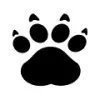 Cheeta favicon