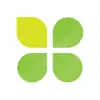 Clover 四叶新媒体 favicon