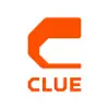 Clue favicon