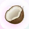 Coconote favicon