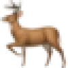DeerFlow favicon