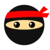 DisputeNinja favicon