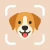 DogPic favicon