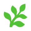 Fern favicon