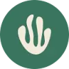 Greenspark favicon