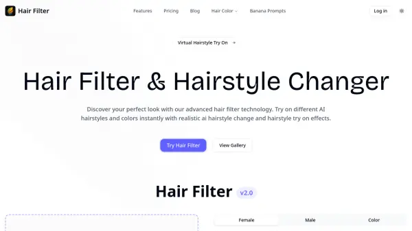 Hair Filter
