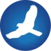 HawkSoft favicon