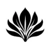 Henna Designs favicon