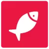 HeyHaddock favicon