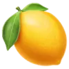 Lemon Slice favicon