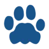 Leon Software favicon