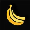 nanobanapro.com favicon