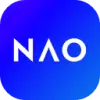 Naologic favicon