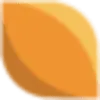 Netrix iCMS favicon