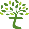 Network Tree favicon