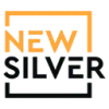 New Silver favicon