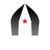 Niddam AI favicon