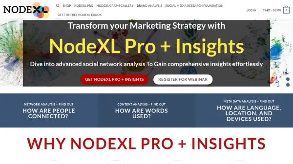 NodeXL Pro